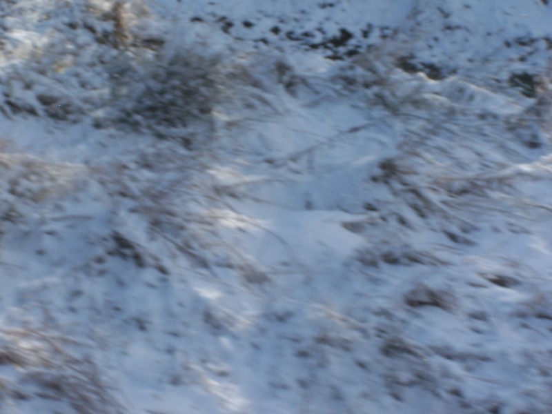 100_6322.JPG