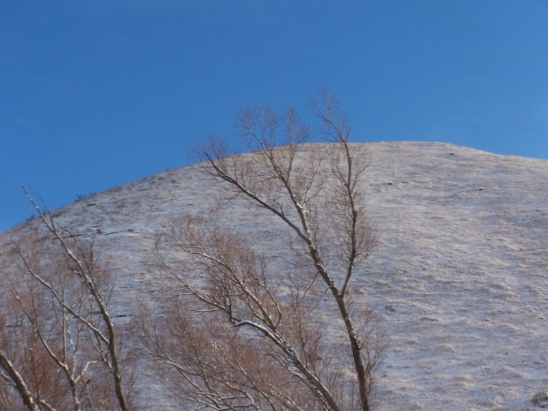 100_6327.JPG