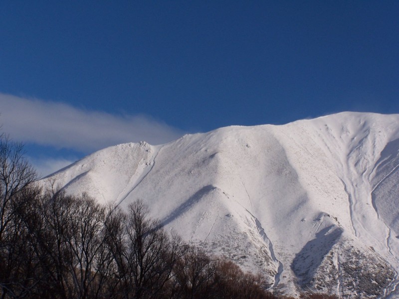 100_6331.JPG