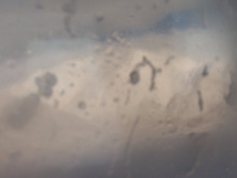 100_6340.JPG