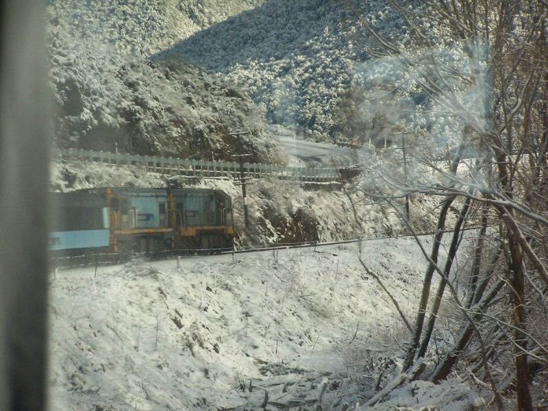 100_6379.JPG