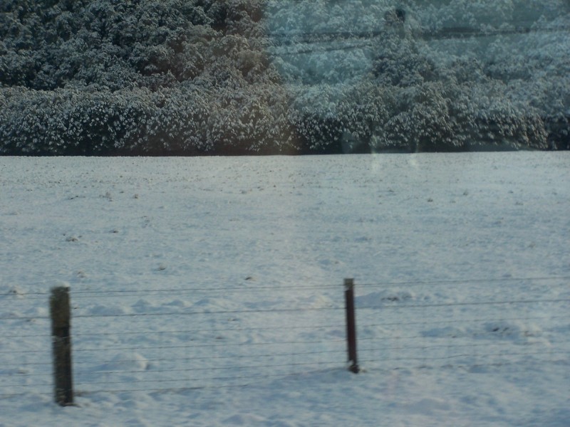 100_6387.JPG