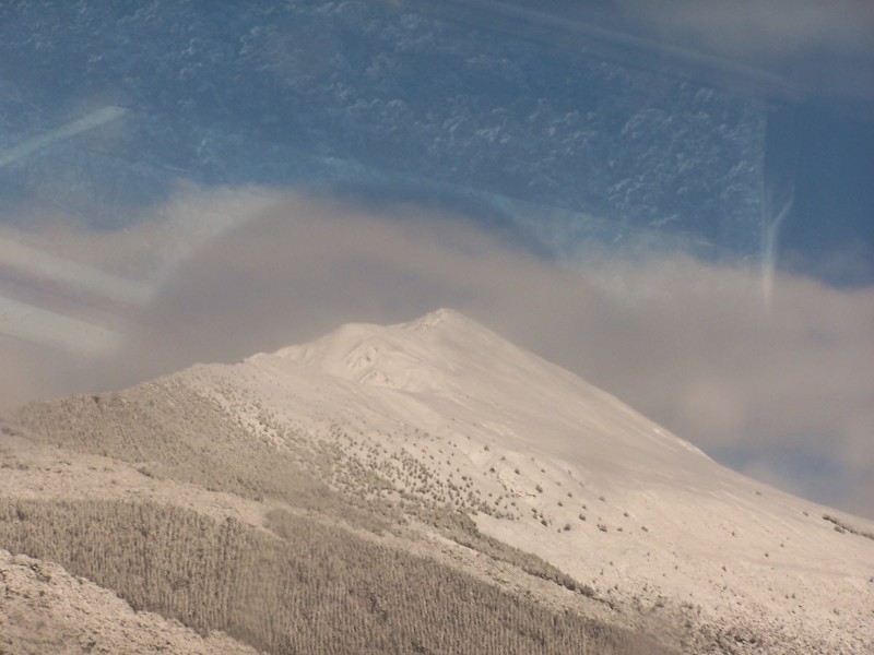 100_6403.JPG