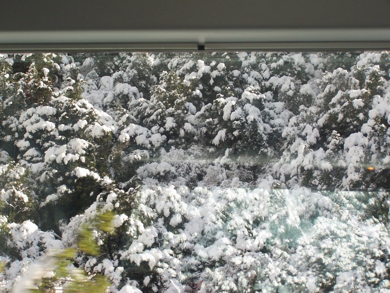 100_6443.JPG