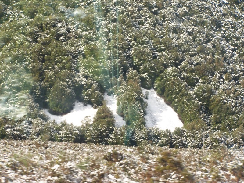 100_6456.JPG