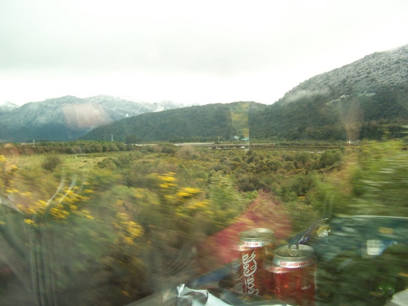 100_6503.JPG