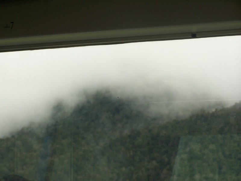 100_6517.JPG