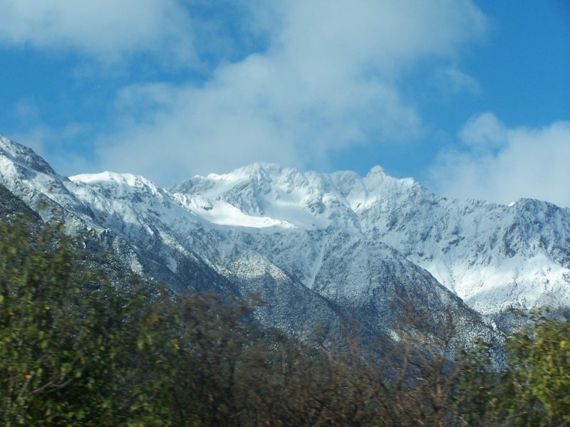 100_6545.JPG