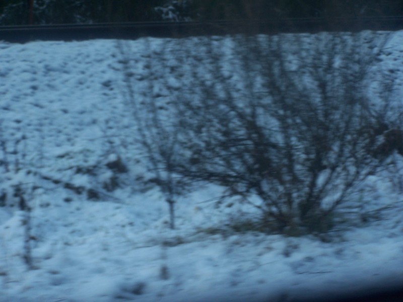 100_6547.JPG