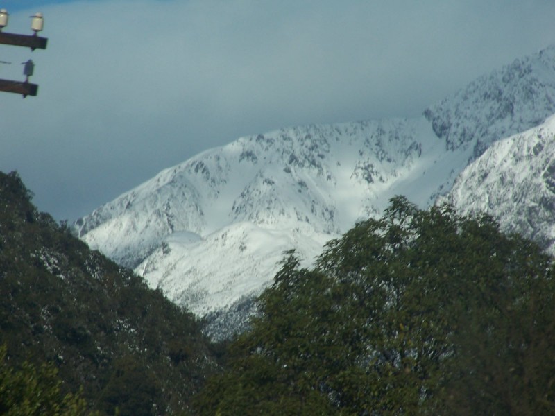 100_6555.JPG