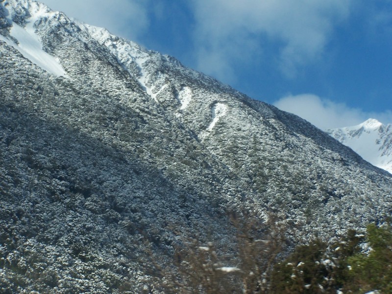 100_6562.JPG