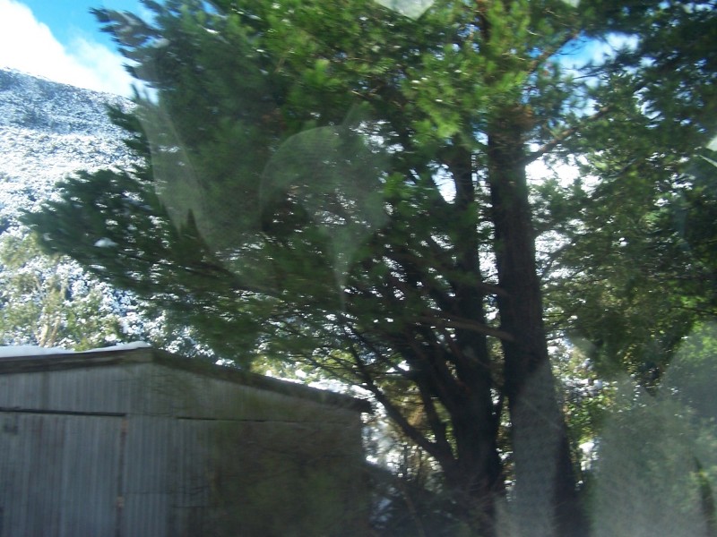 100_6569.JPG