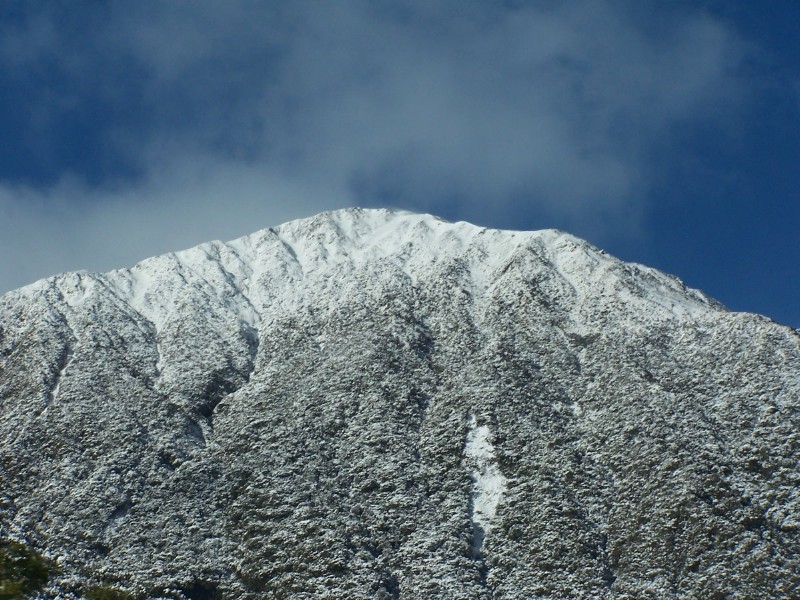 100_6570.JPG