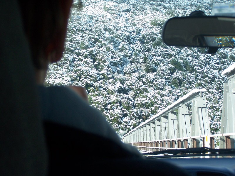 100_6574.JPG