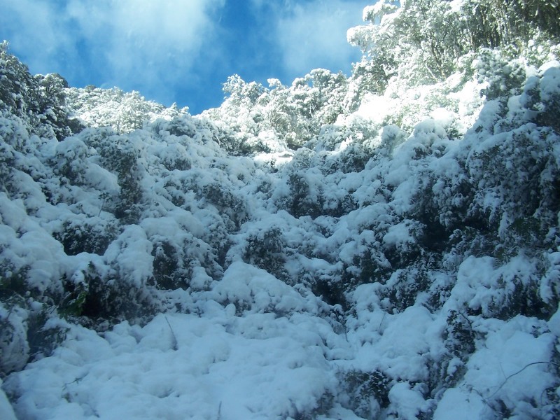 100_6583.JPG
