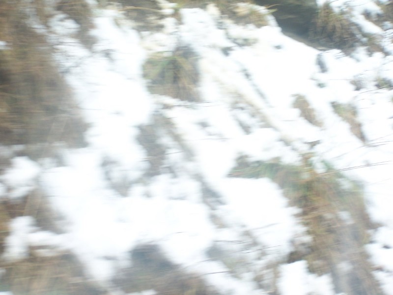 100_6611.JPG