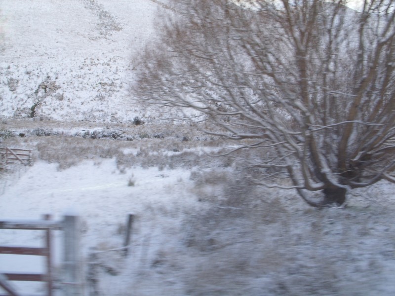 SS850615.JPG