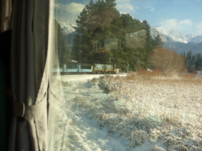SS850643.JPG