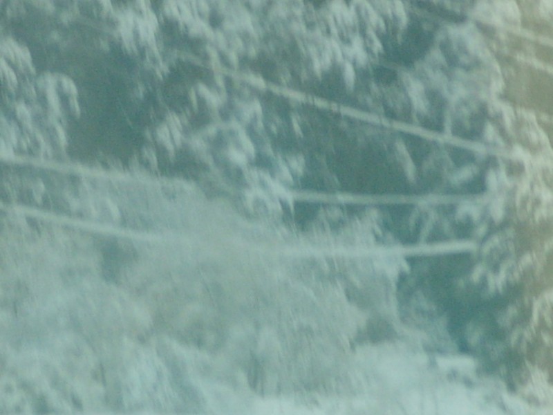 SS850677.JPG