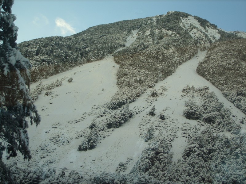 SS850678.JPG