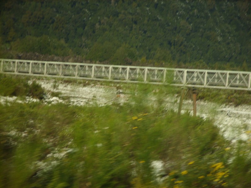 SS850731.JPG