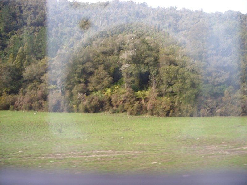 SS850775.JPG