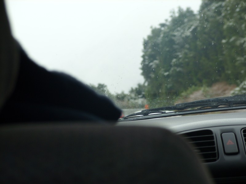 SS850812.JPG