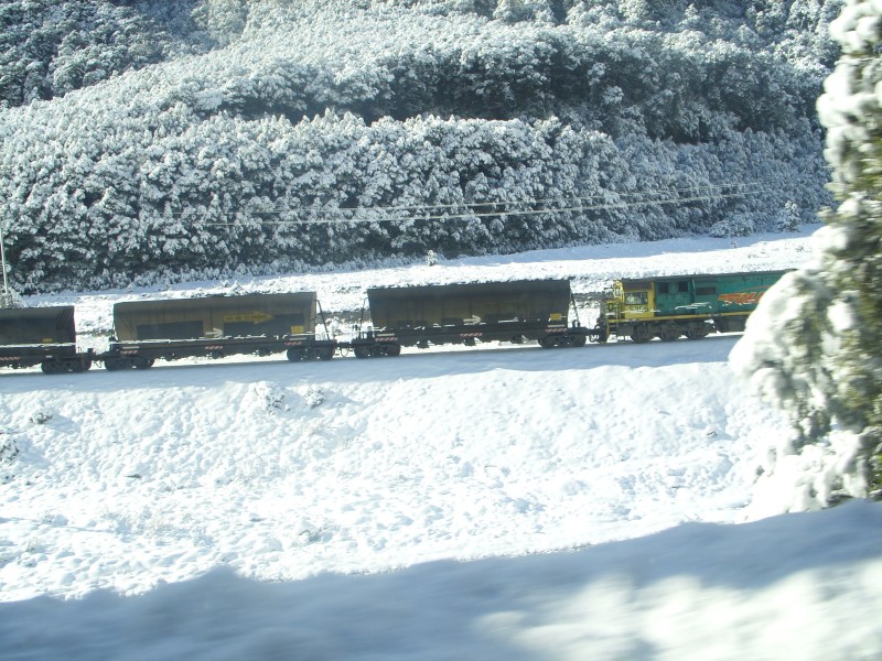 SS850882.JPG