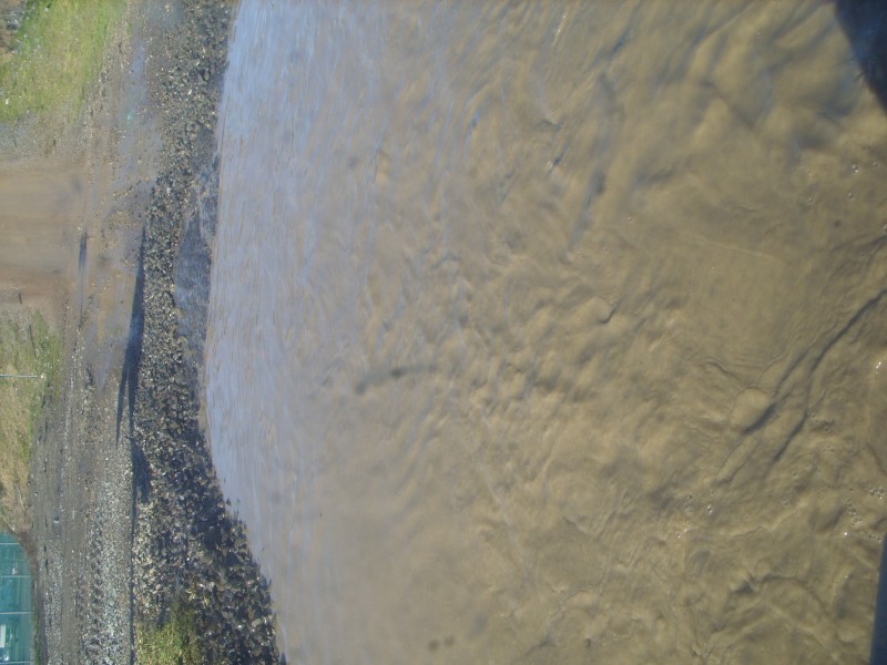 SS850986.JPG