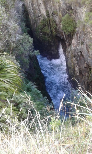 20160306_121844.jpg