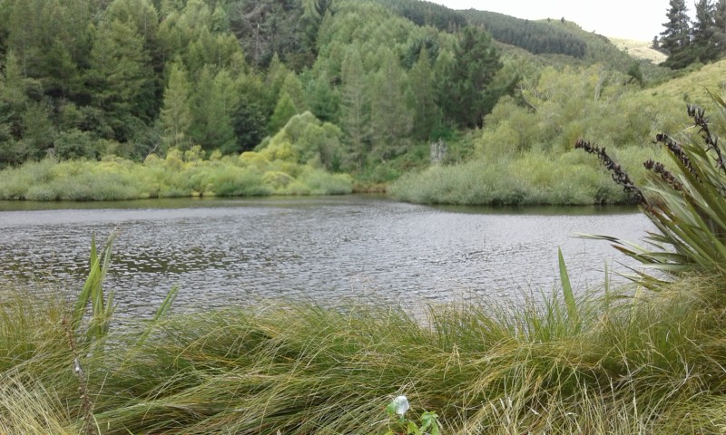 20160308_161640.jpg