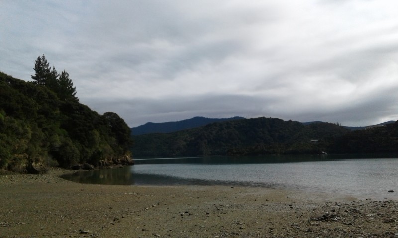 20160318_105942.jpg