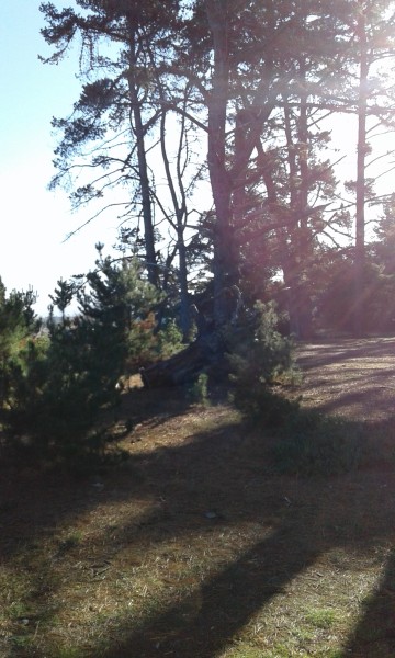 20160424_153558.jpg